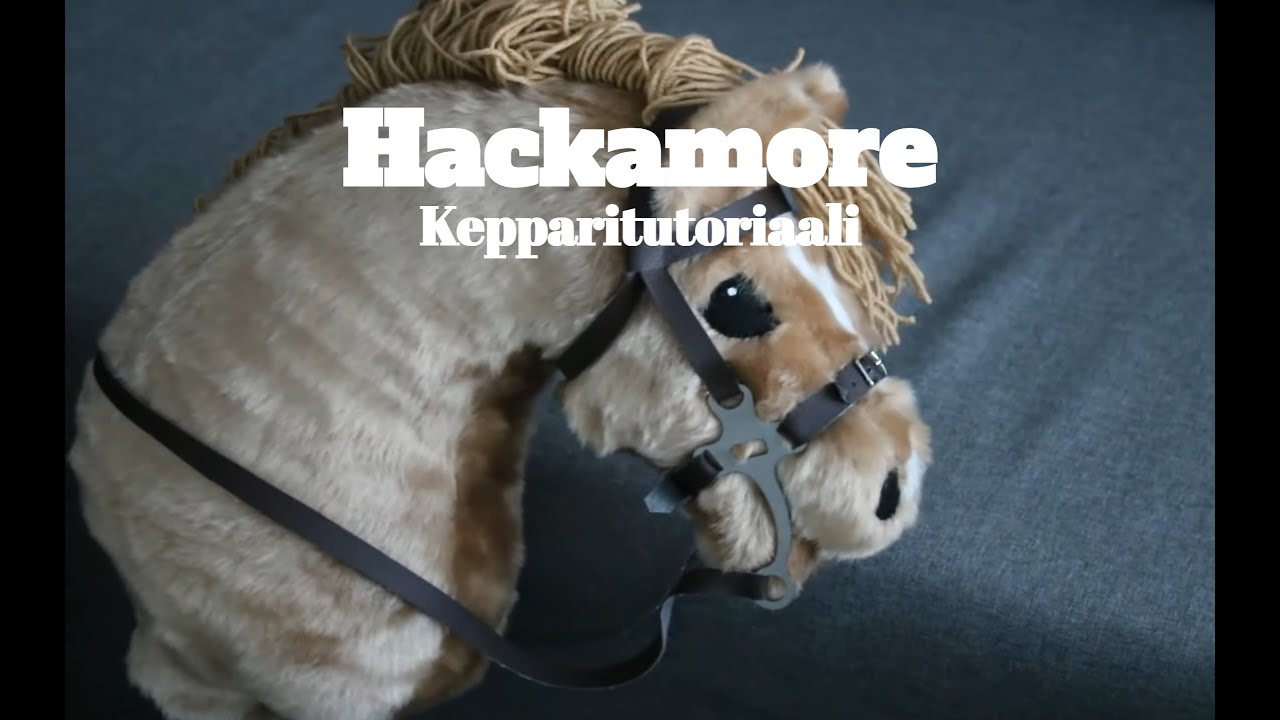 Hackamore suitset [KEPPARITUTORIAALI]