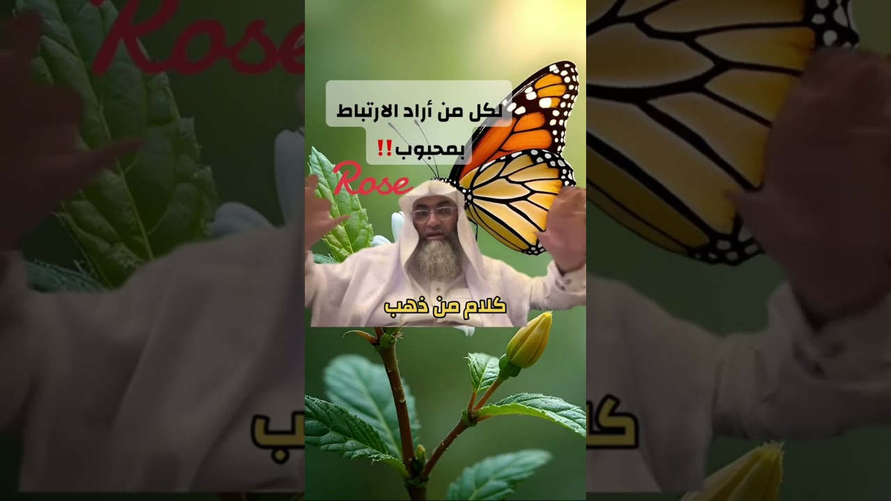 الارتباط بالمحبوب.. أسئلة عميقة على درب اليقين مع الشيخ طارق خوالدة حفظه الله 🌴