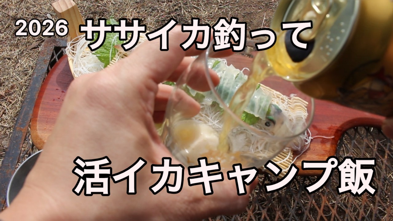 【釣りキャンプ】ササイカシーズン到来！ササイカ釣って活イカキャンプ飯！