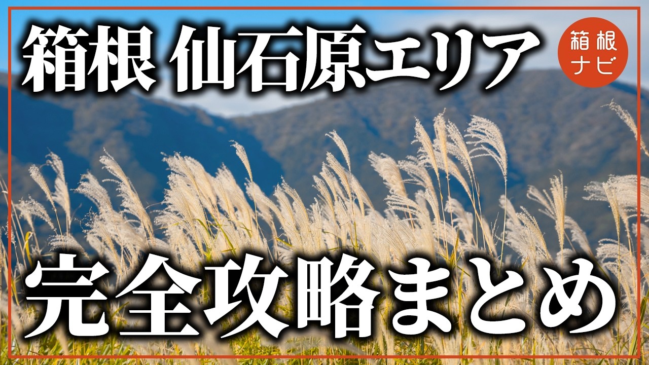 【箱根旅行】仙石原エリアを完全攻略！ホテル・グルメ・観光スポットまとめ