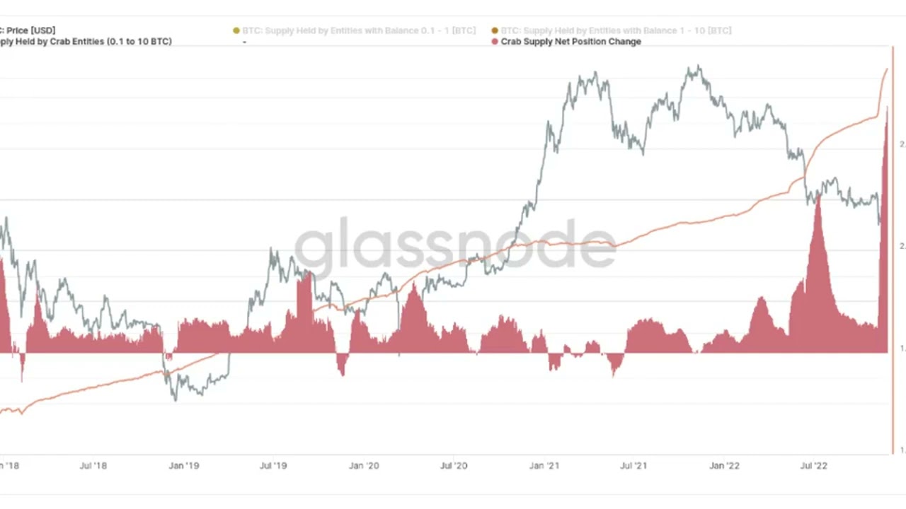 Non-whale Bitcoin investors break new BTC accumulation record