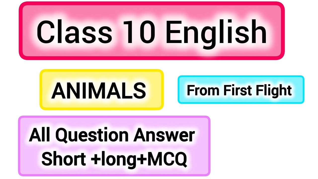 Вопросы и ответы по английскому языку для 10 класса | Короткие длинные и все многовариантные вопросы