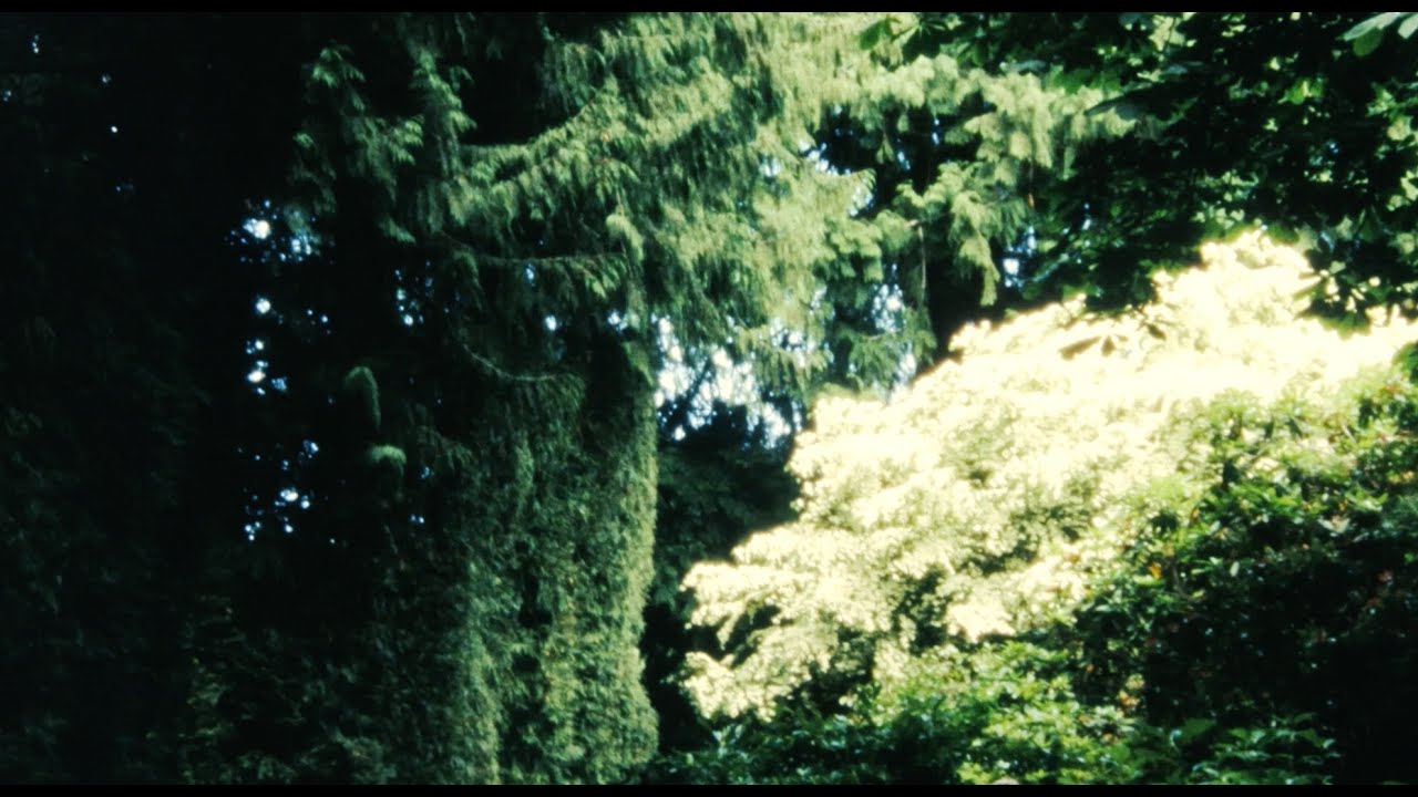 elijah who - growth (official visualizer)