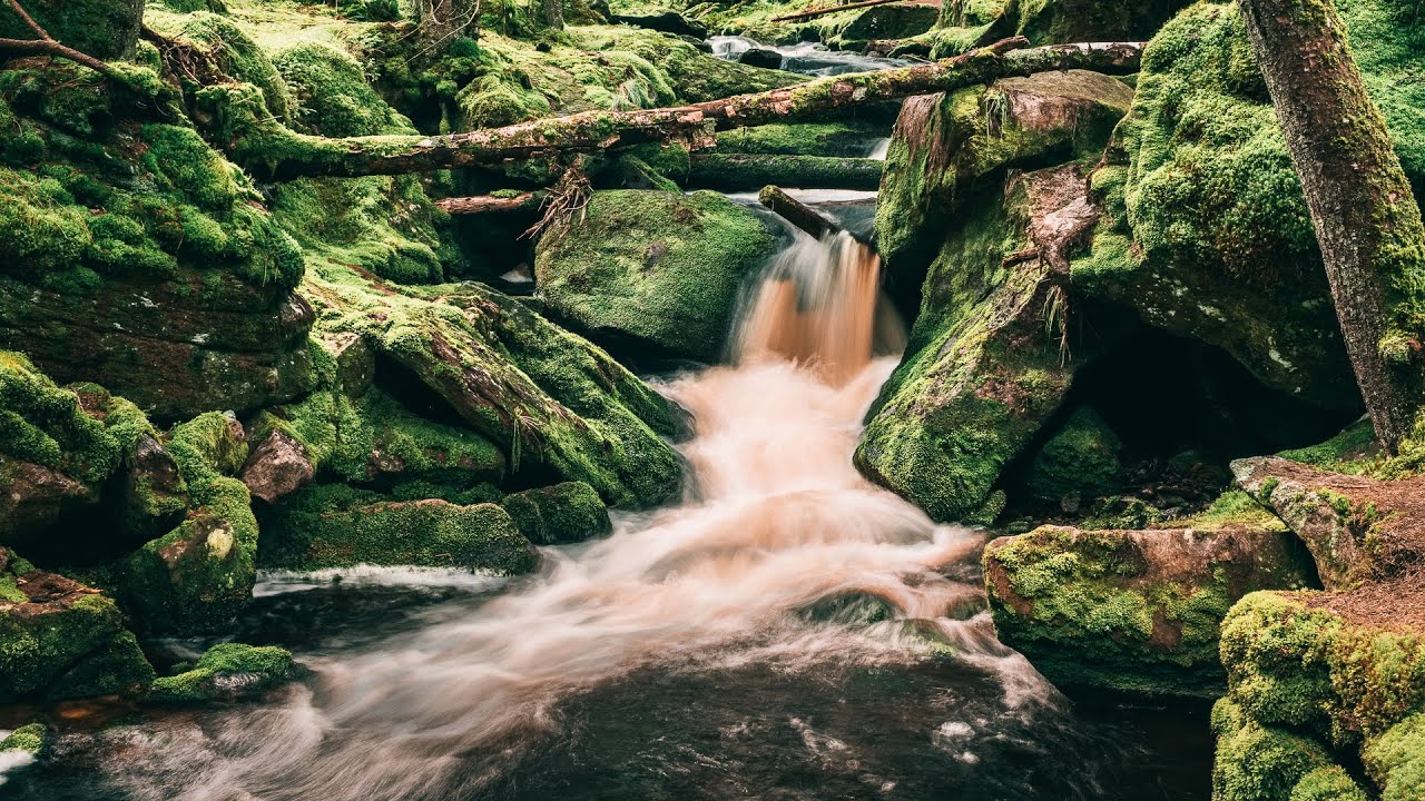 Šumava: Horská Kvilda, Filipohuťský a Hamerský potok | Krajinářská fotografie | Foto vlog # 78