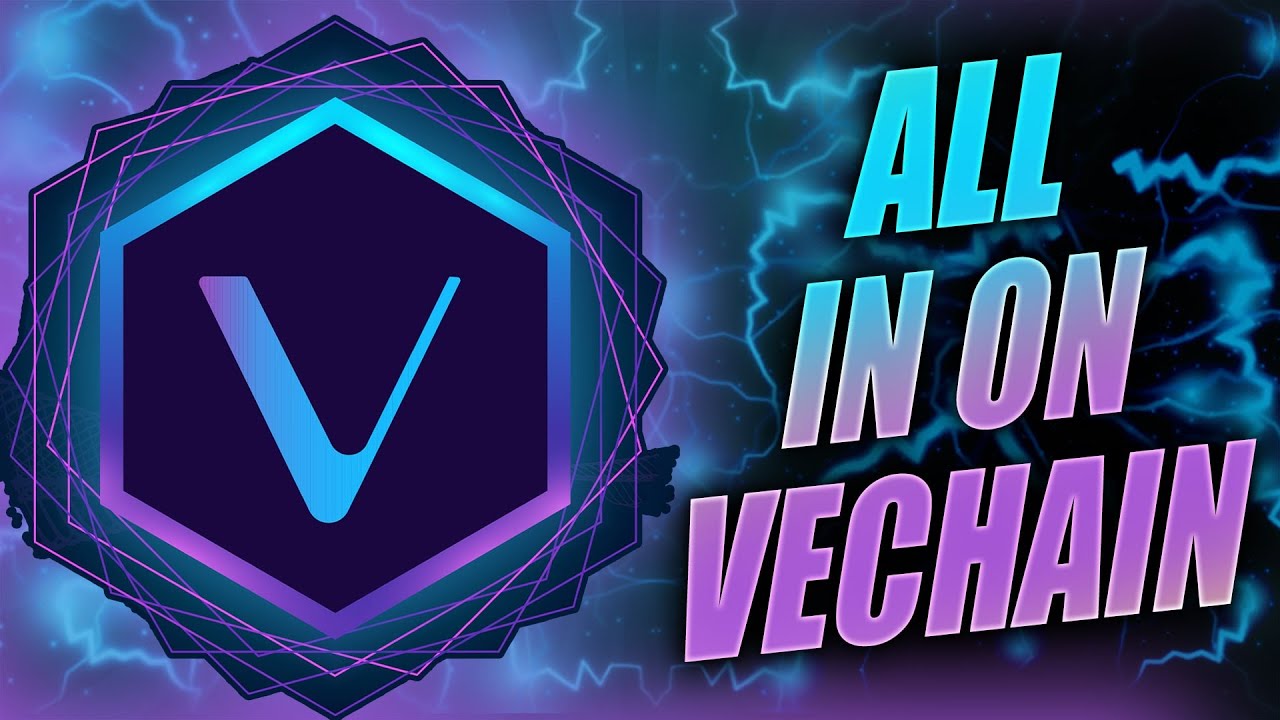 VeChain Is The Best Bear Market Crypto To Buy NOW!