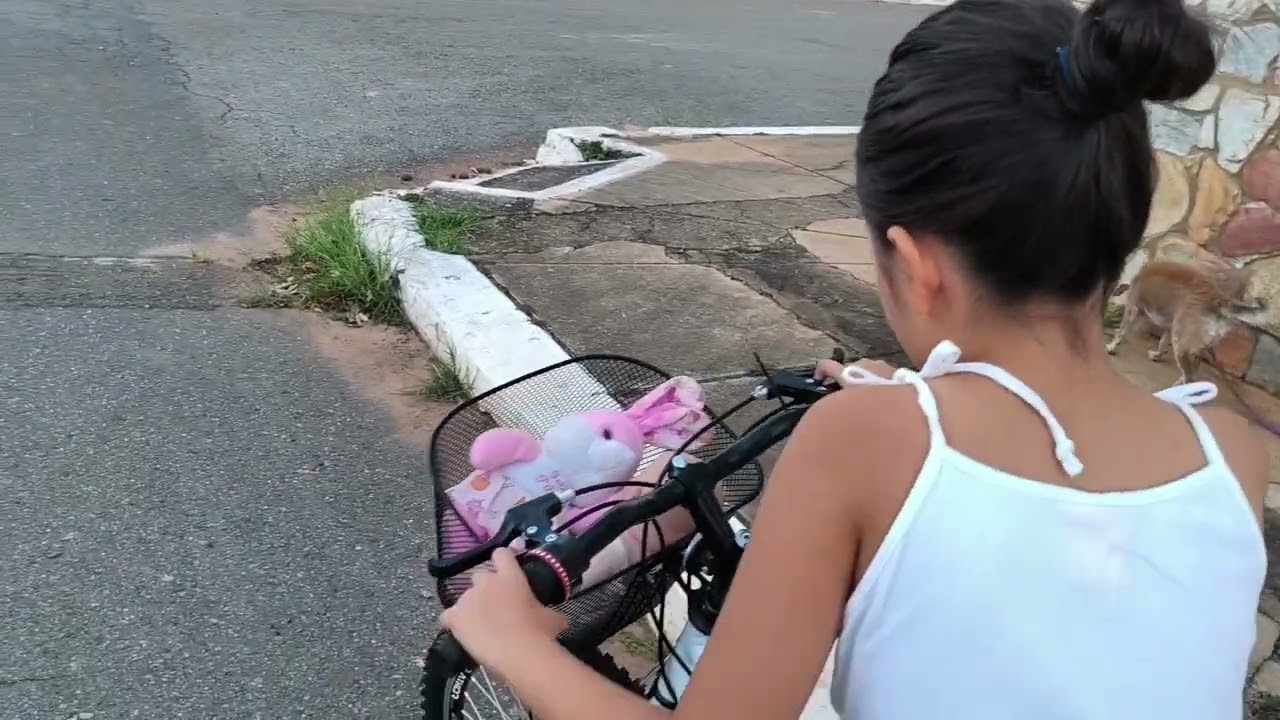 Passeando com os dogs