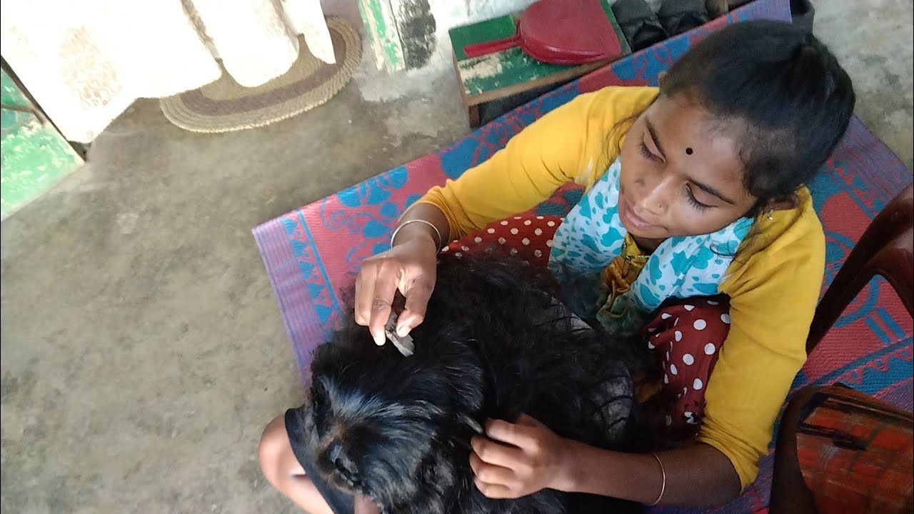 Live  Nitpicking Combing Hairstyles...🕷️🙄👍.
