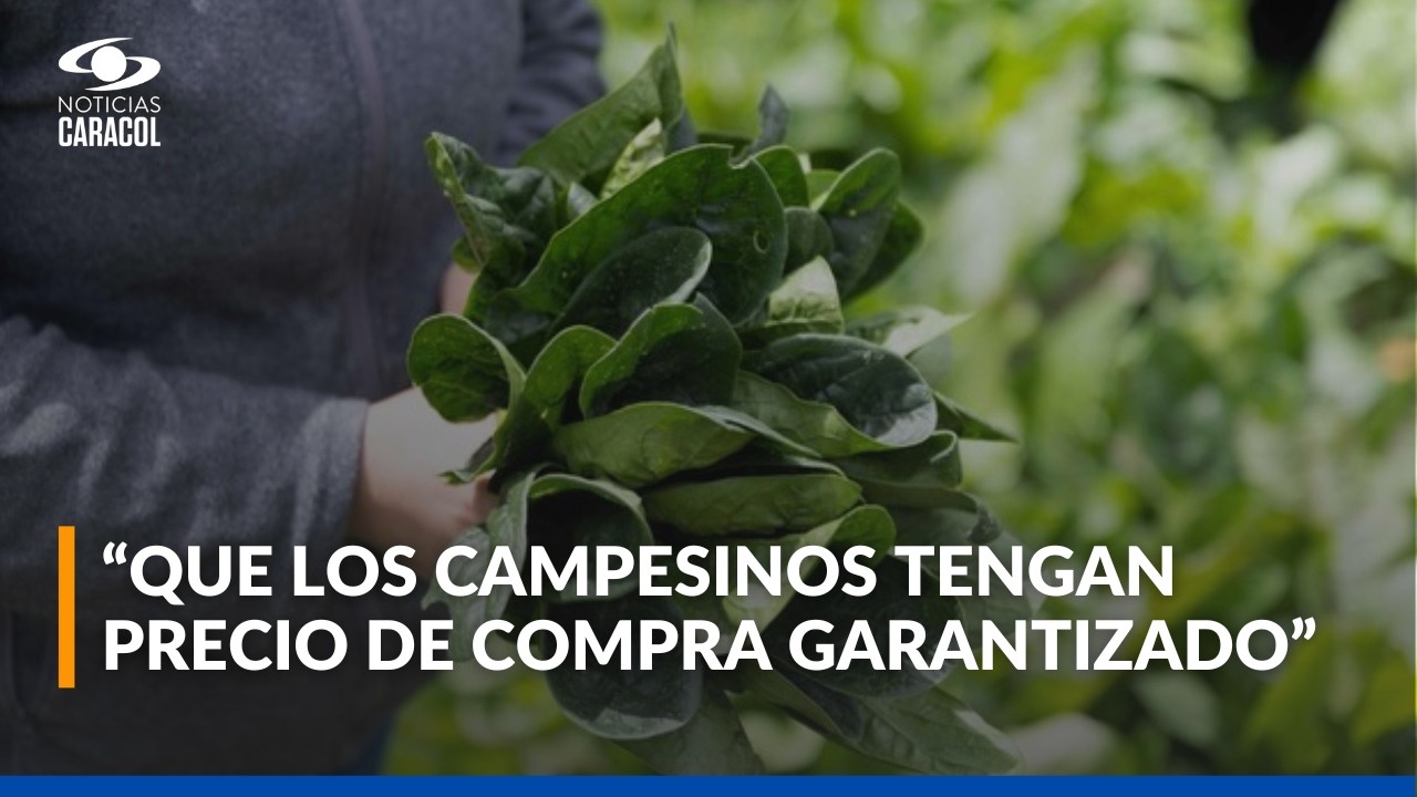 ¿Cómo convertir a Colombia en una potencia en el sector agropecuario?