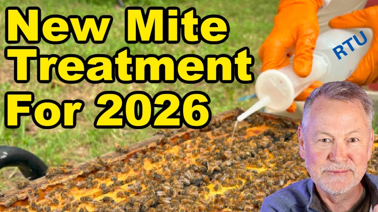 Beekeeping: New Mite Treatment, Yellow Leg Hornets & More