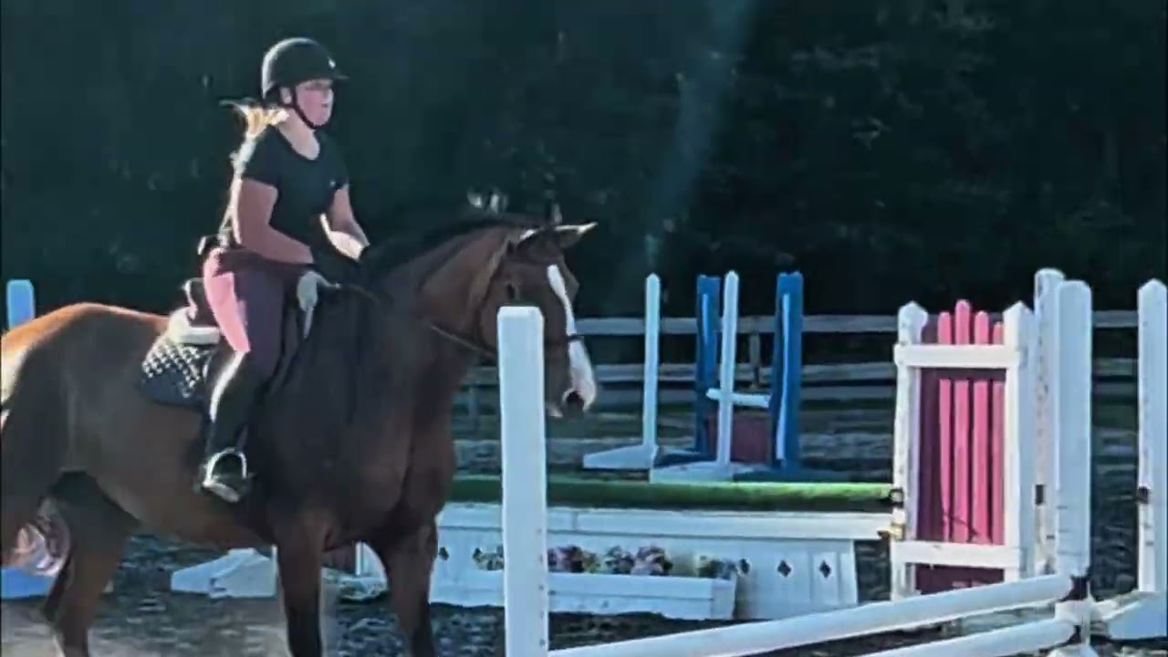 Gochman Grant Application 2026