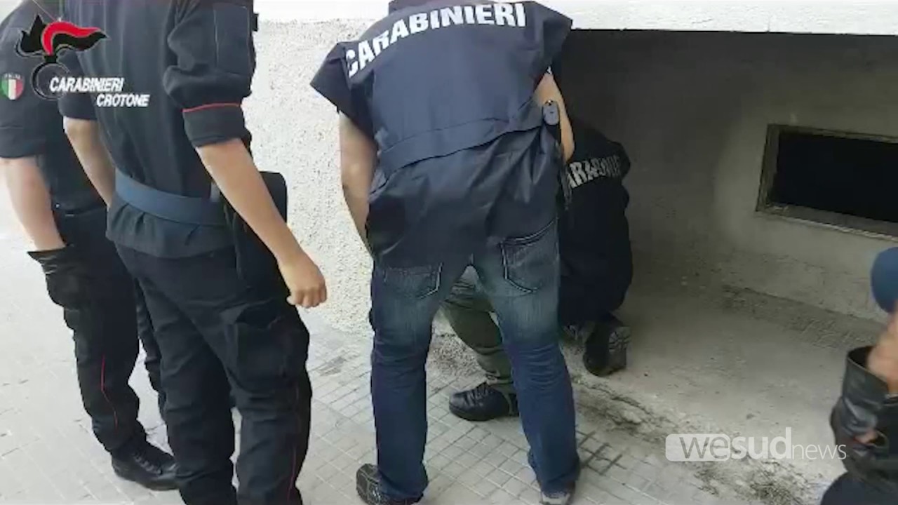 blitz a fondo gesù