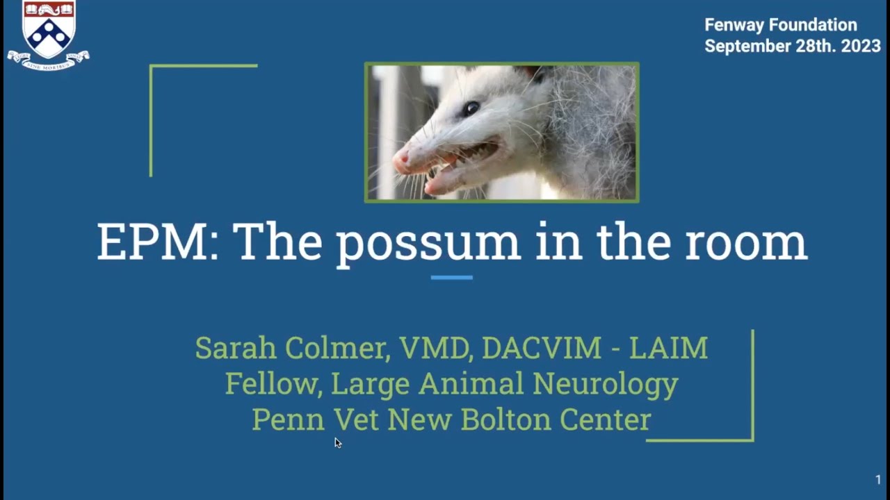 Equine Protozoal Myeloencephalitis (EPM)