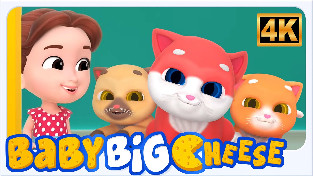 Five Little Kittens Preschool Nursery Rhymes And Kids Songs by Baby Big Cheese