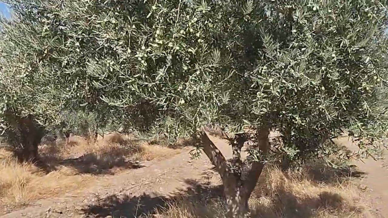 26 AĞUSTOS 2025 10. Uygulama öncesi son durumlar..