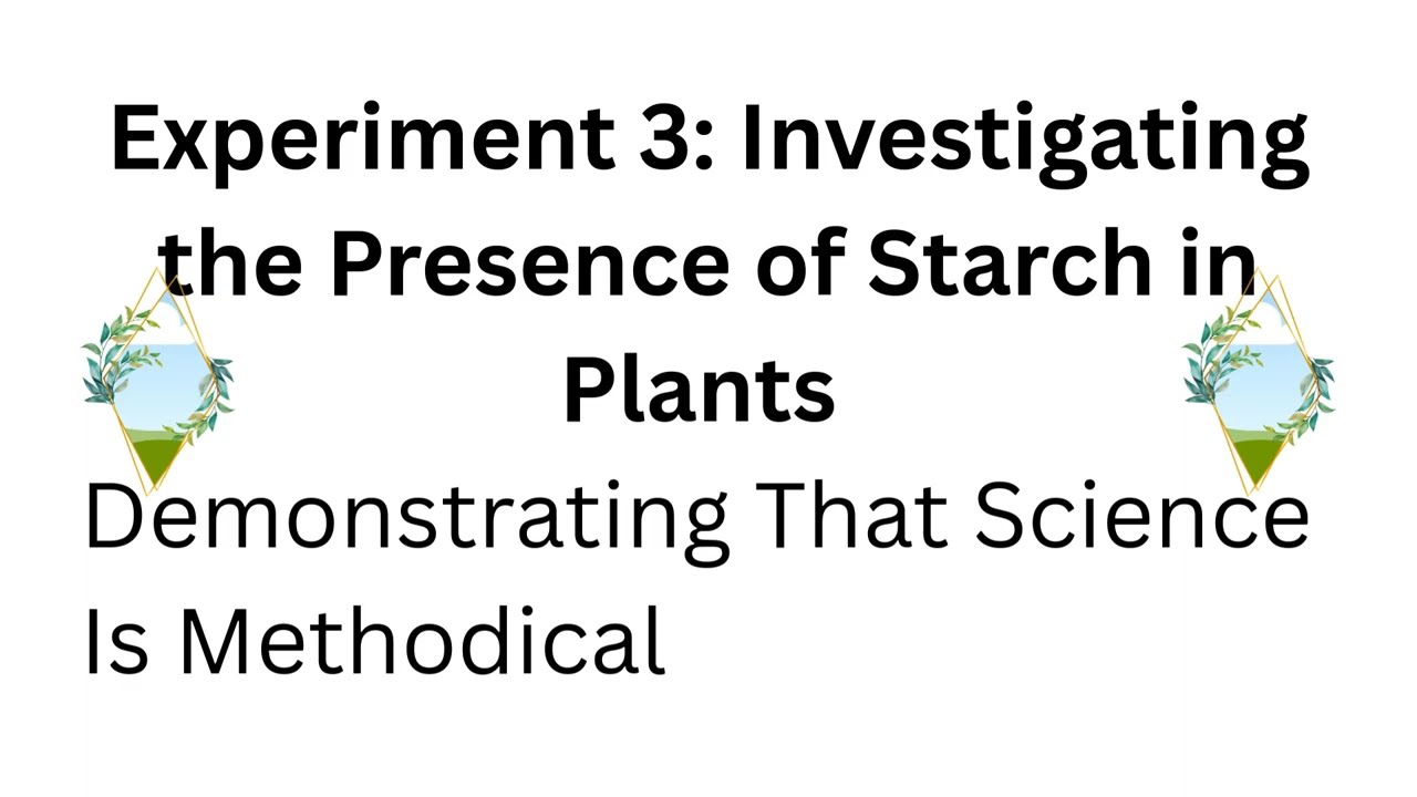 General Science Lesson 7: Investigating the Presence of Starch in Plants