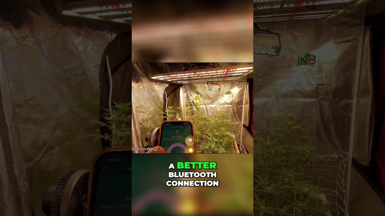 Mars Hydro FC4800 ! #gardening #howto #marshydro