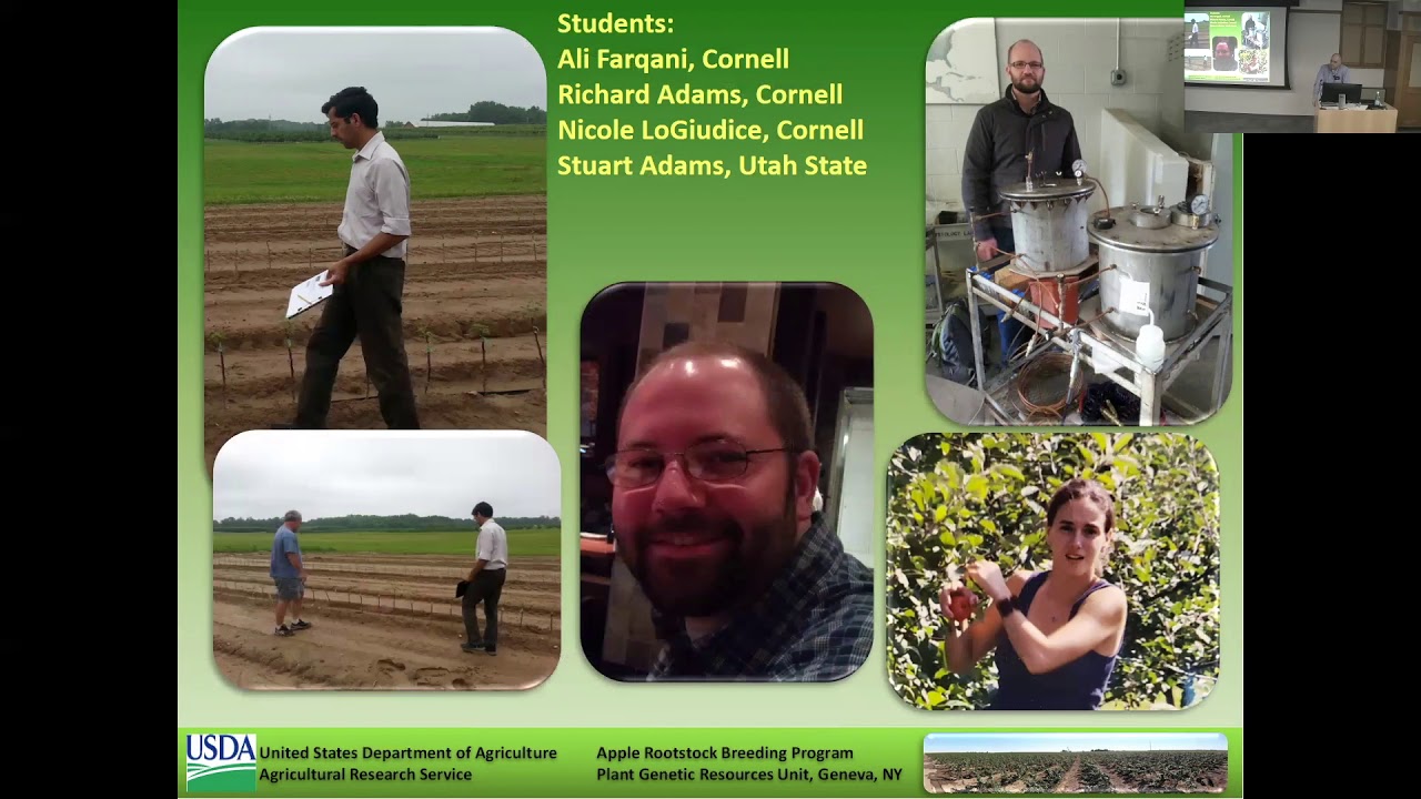 Gennaro Fazio: 50 years of breeding the Geneva® series of apple rootstocks