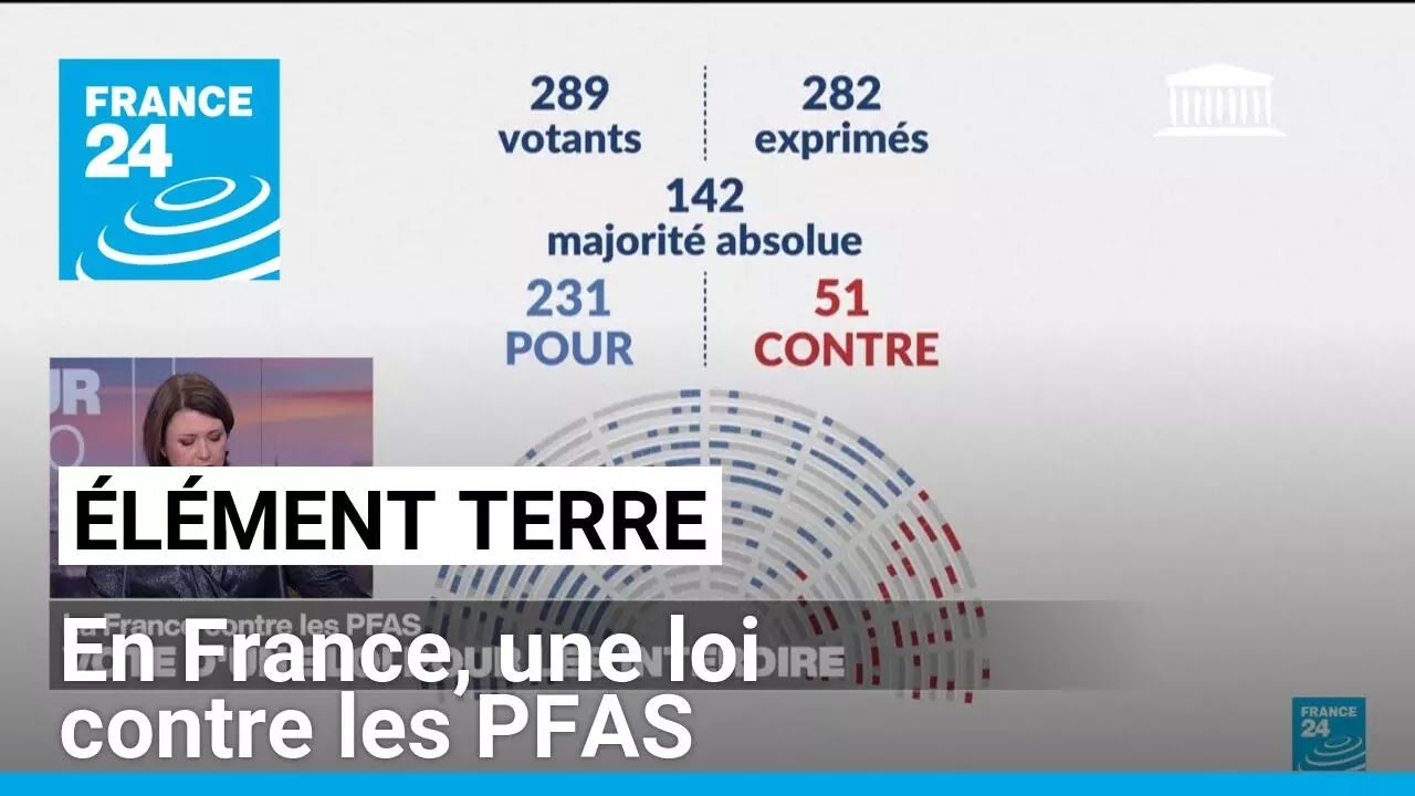 France : adoption d'une loi pour restreindre les PFAS, ces polluants éternels • FRANCE 24