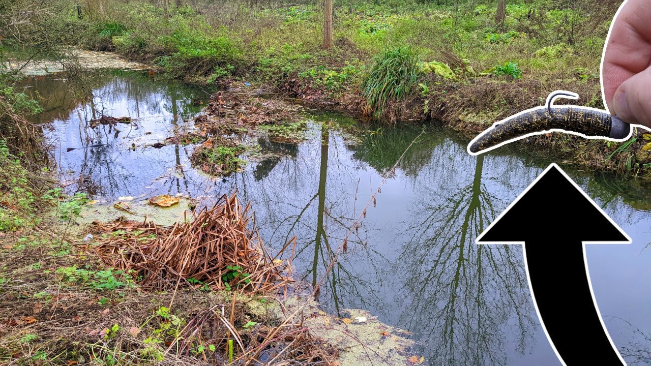 Ned Fishing a TINY SNAGGY River! (BFS River Fishing)