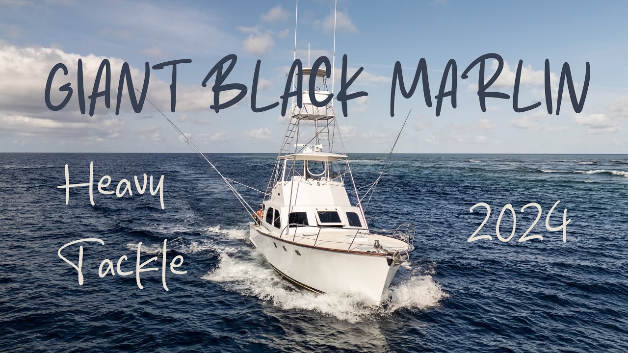 Hunting Giant Black Marlin on the Great Barrier Reef