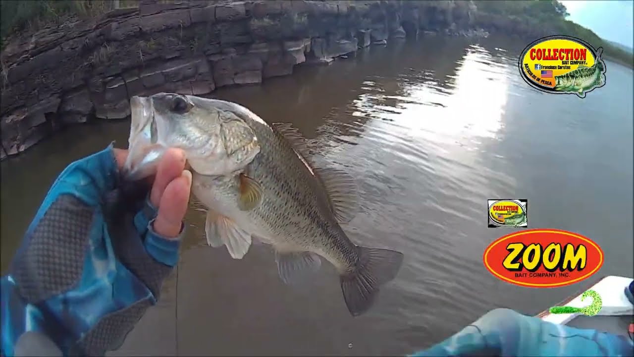 PESCANDO CON GRUB DE ZOOM -  CAPITULO 248