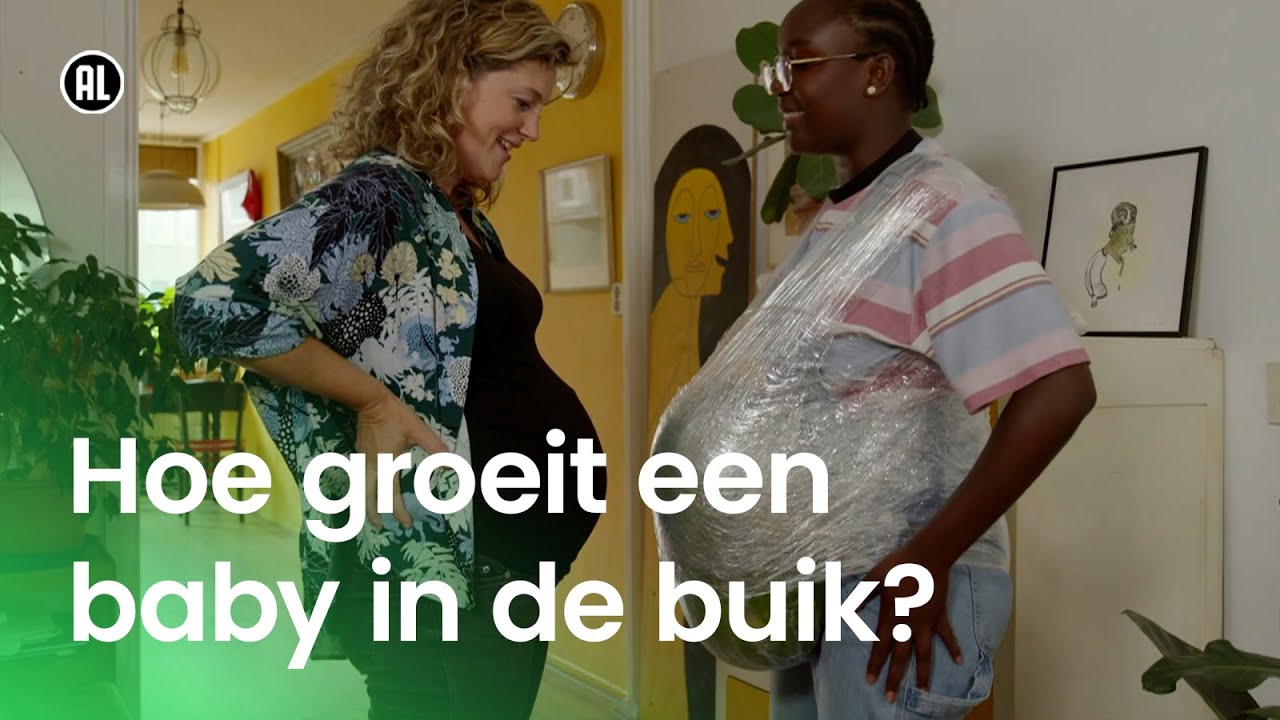 Hoe groeit een baby in de buik?