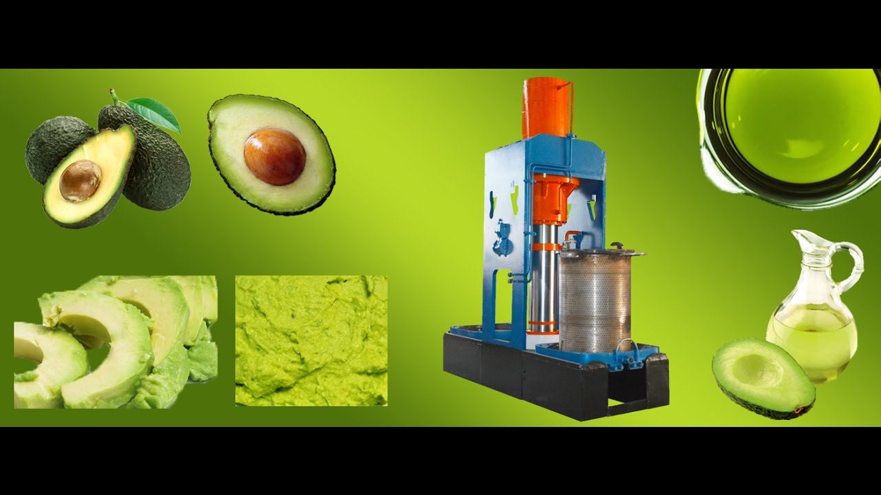 Hydraulic Avocado Oil Press in Tanzania