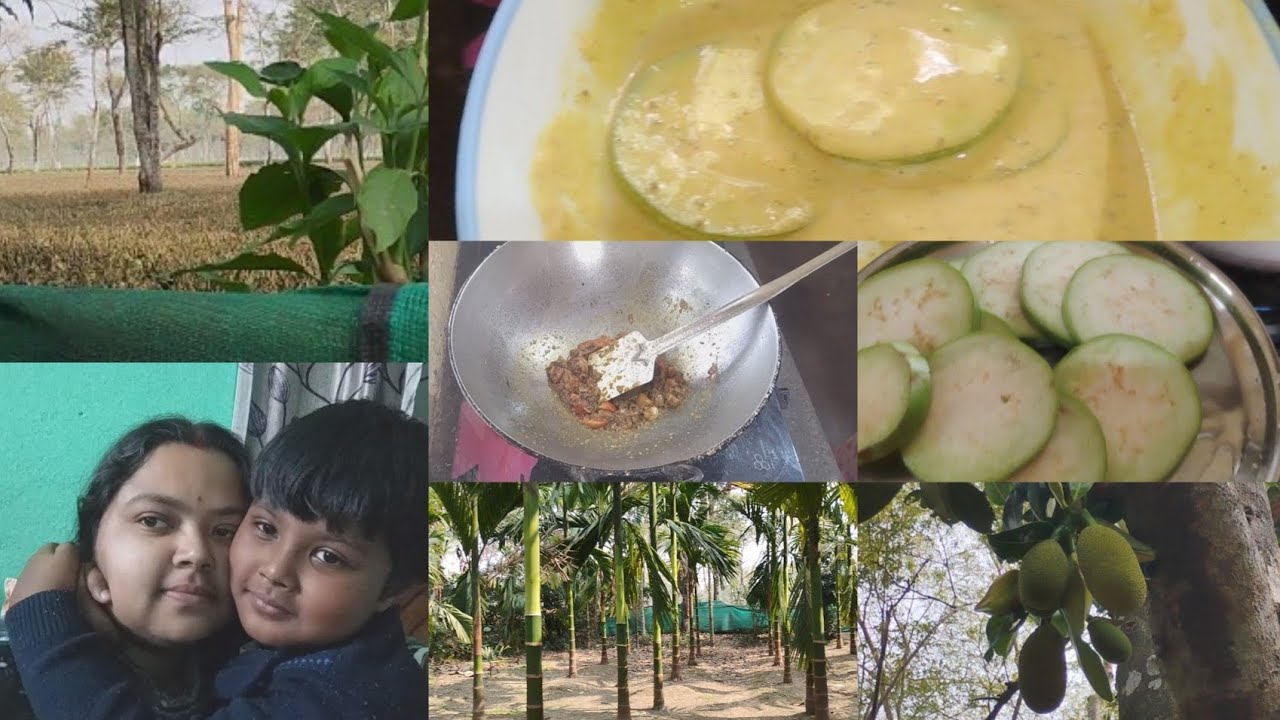 সারা দিন কাজ করার পর ও শুনতে হয় বাড়িতে সারাটা দিন কি করো। আমাকে এই রকম কথা কখনো শুনতে হয়নি।😍😍