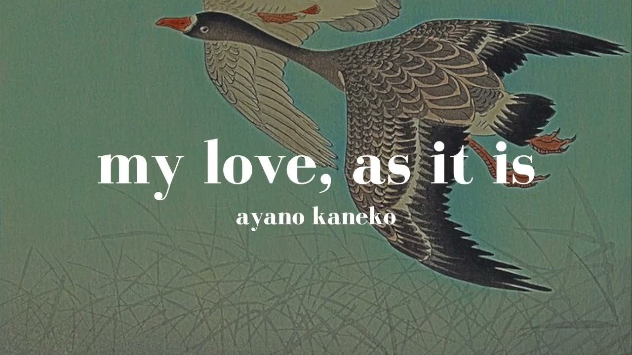 愛のままを: カネコアヤノ ai no mama wo: ayano kaneko (lyrics english translation)