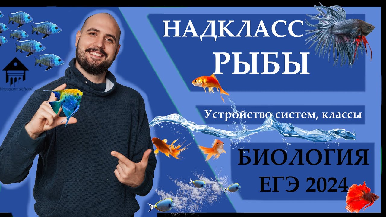 Хордовые. Надкласс РЫБЫ для ЕГЭ 2024 |ЕГЭ БИОЛОГИЯ|Freedom|