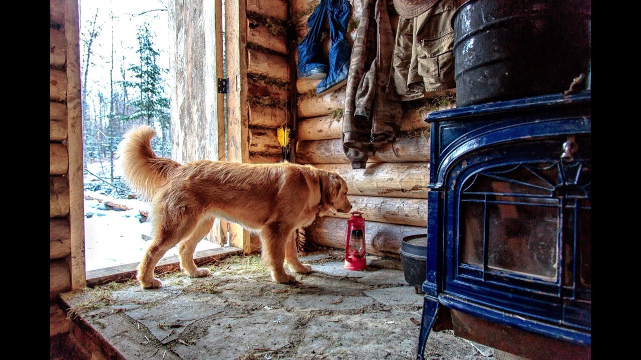 Building an Off Grid Log Cabin in the Forest with Help From My Dog - Roof, Stone Floor and Woodstove