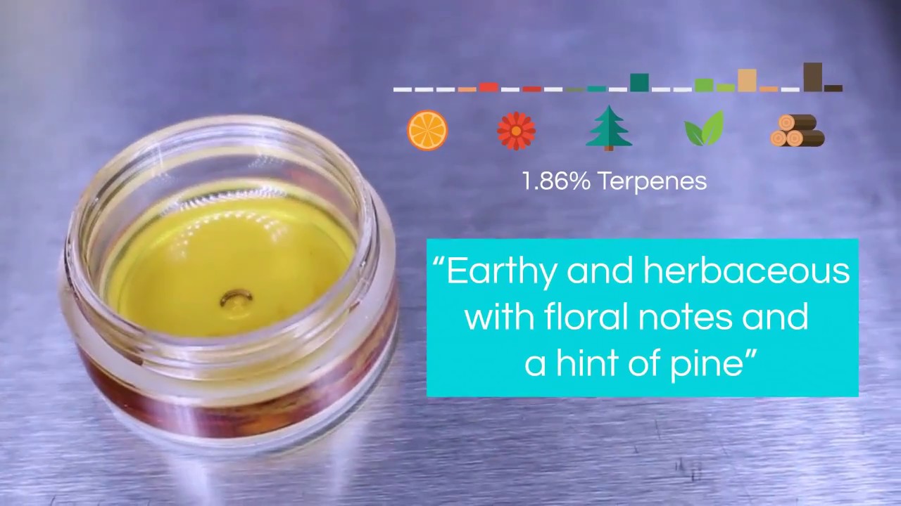 Cannalysis Labs - Terpene Analysis