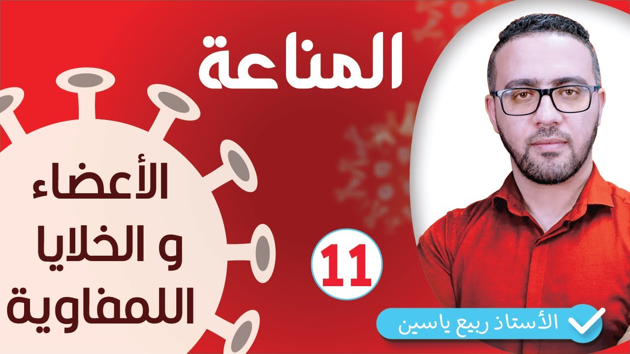 الوحدة الرابعة مناعة  : الأعضاء و الخلايا اللمفاوية  #11