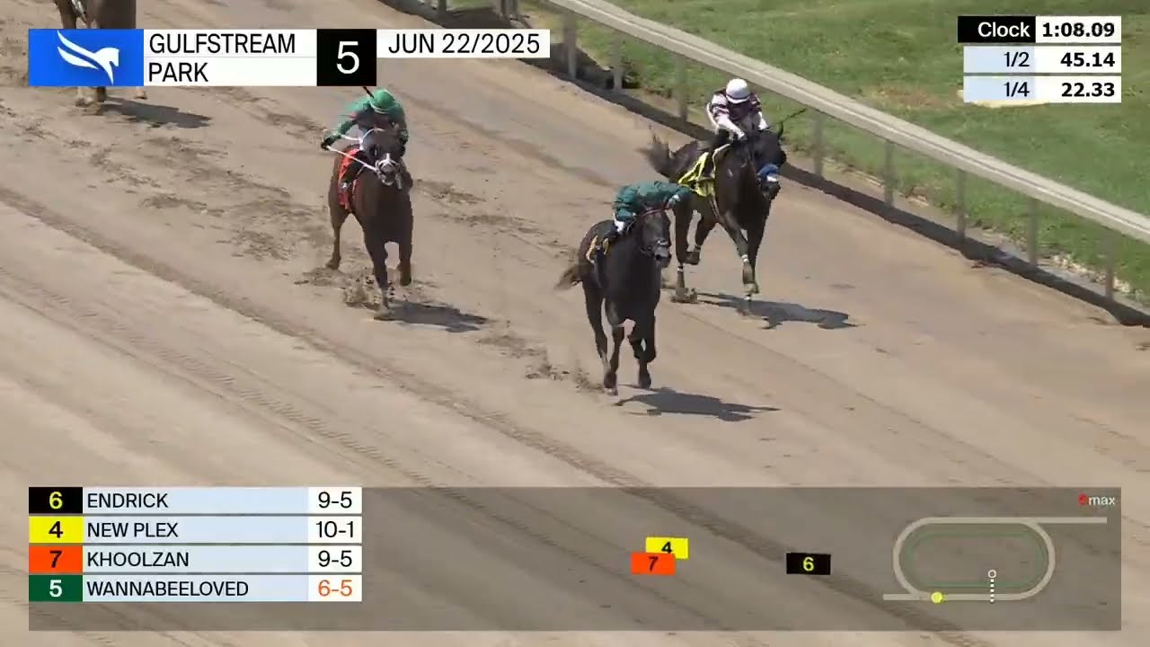 HARÁ SU DEBUT EN #LARINCONADA EL CABALLO AMERICANO KHOOLZAN (USA) #HIPISMO 