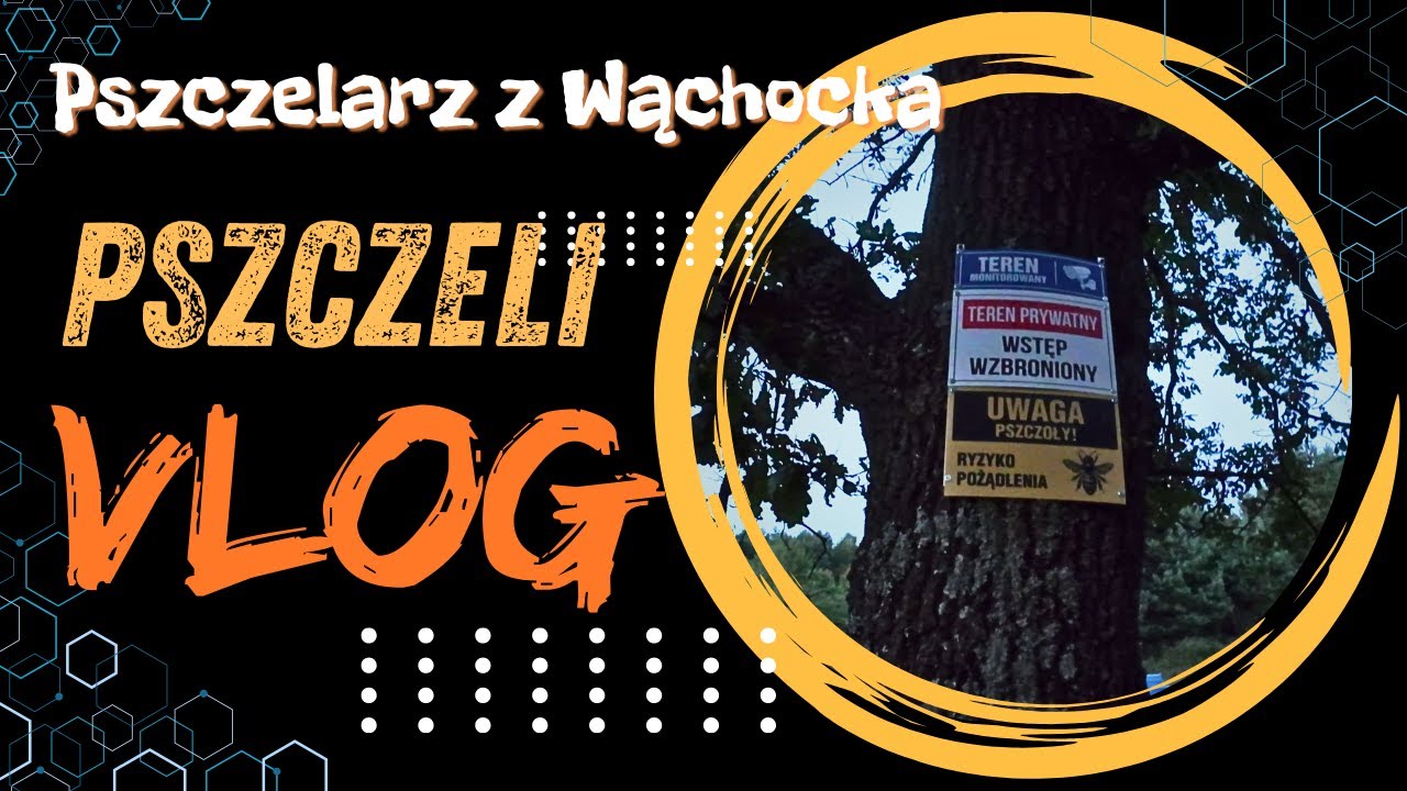 Pszczeli VLOG 72 - pogaduchy, dokumenty, porządki, przewożenie odkład&oacute;w, oczko wodne