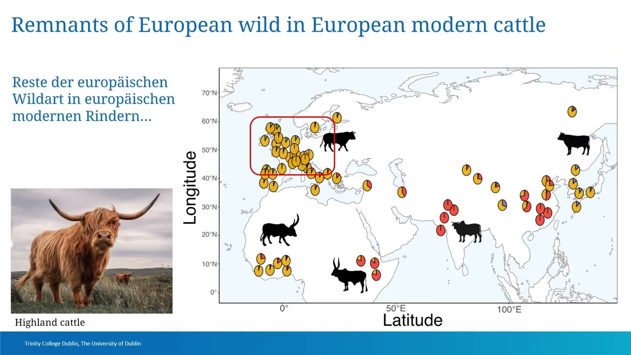Conor Rossi - Ancient DNA and Ice Age wild cattle