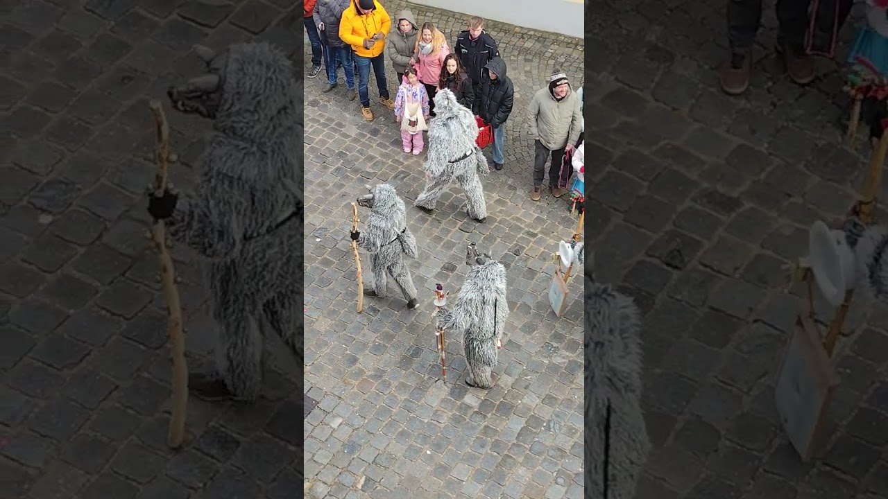 6 carnaval Greding 2026