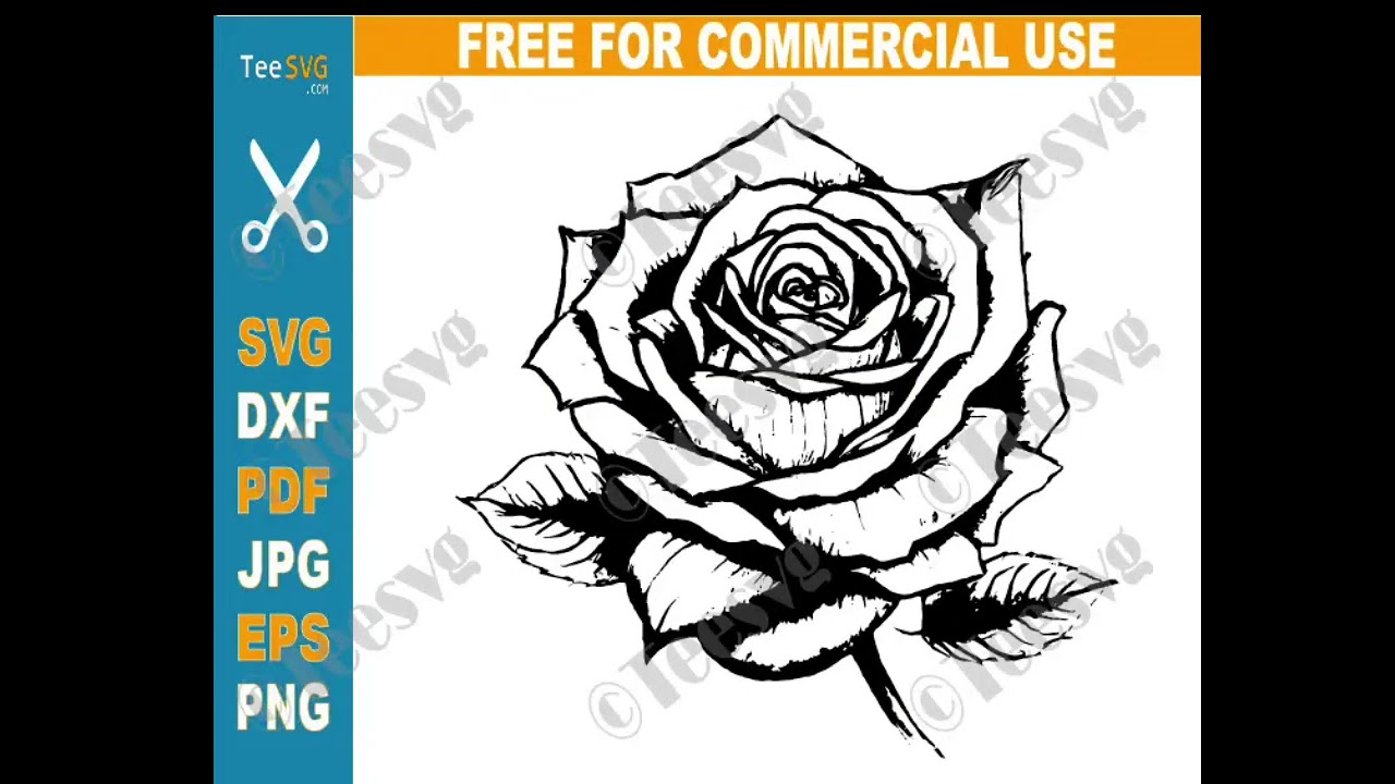 Rose CLIPART Black and White Free PNG JPG SVG Download - Easy Flower Drawing Simple Floral Outline