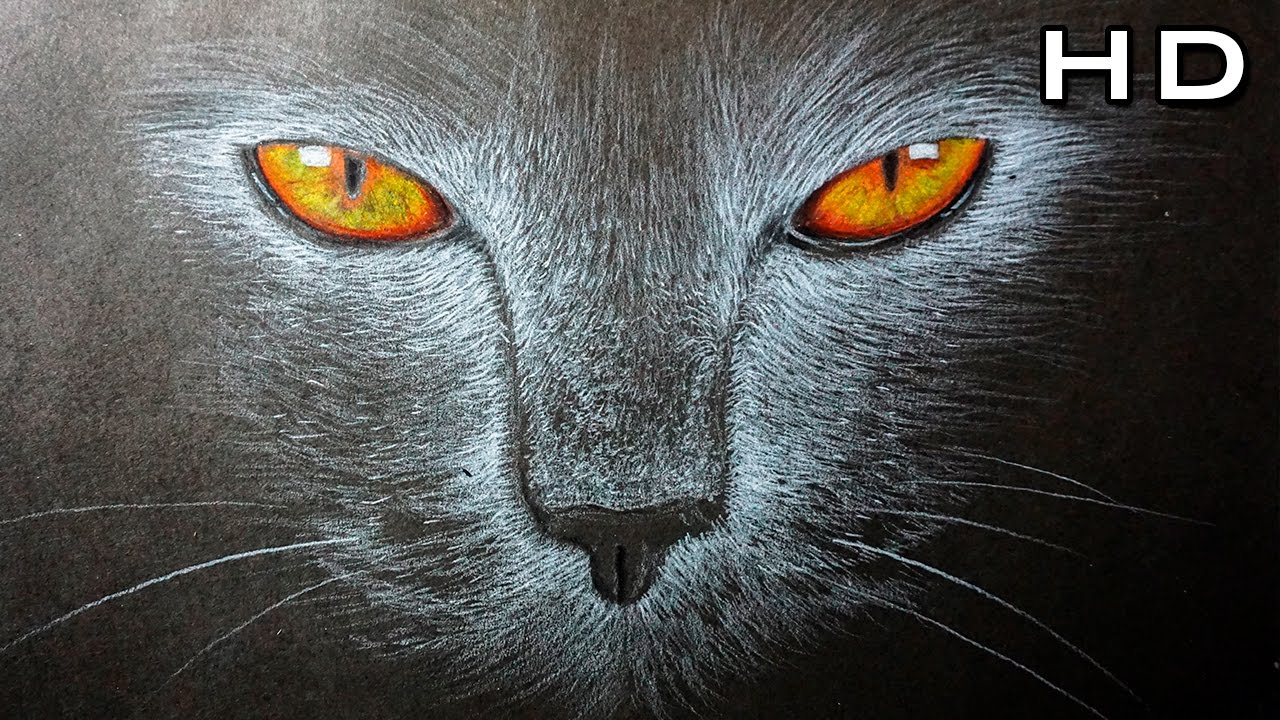 Cómo Dibujar un Gato Paso a Paso en papel negro - Tutorial Fácil