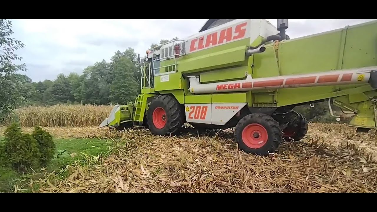 Kukurydziane Żniwa 2023 | Claas Mega 208 | Massey Ferguson 6499