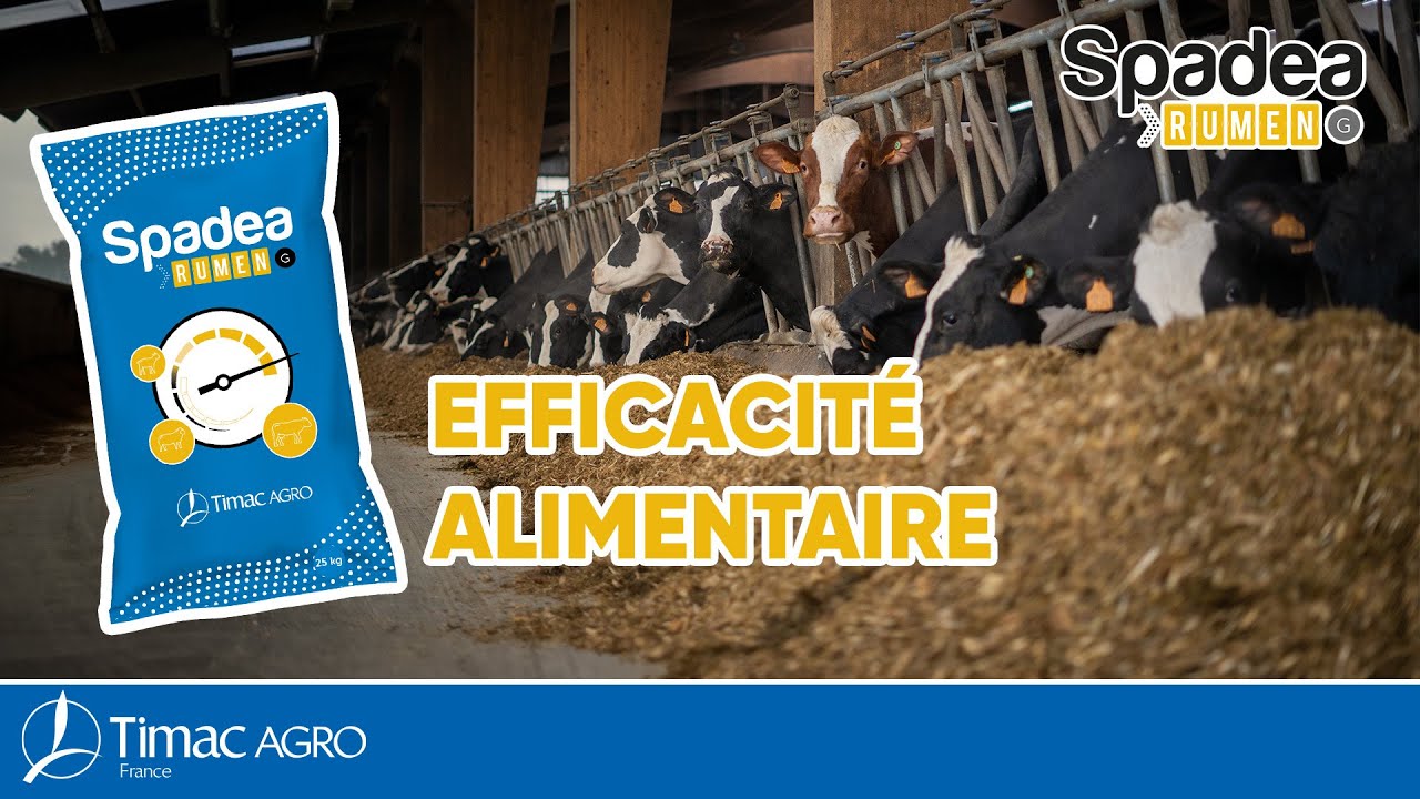 SPADEA RUMEN G : Votre solution rations acidogènes