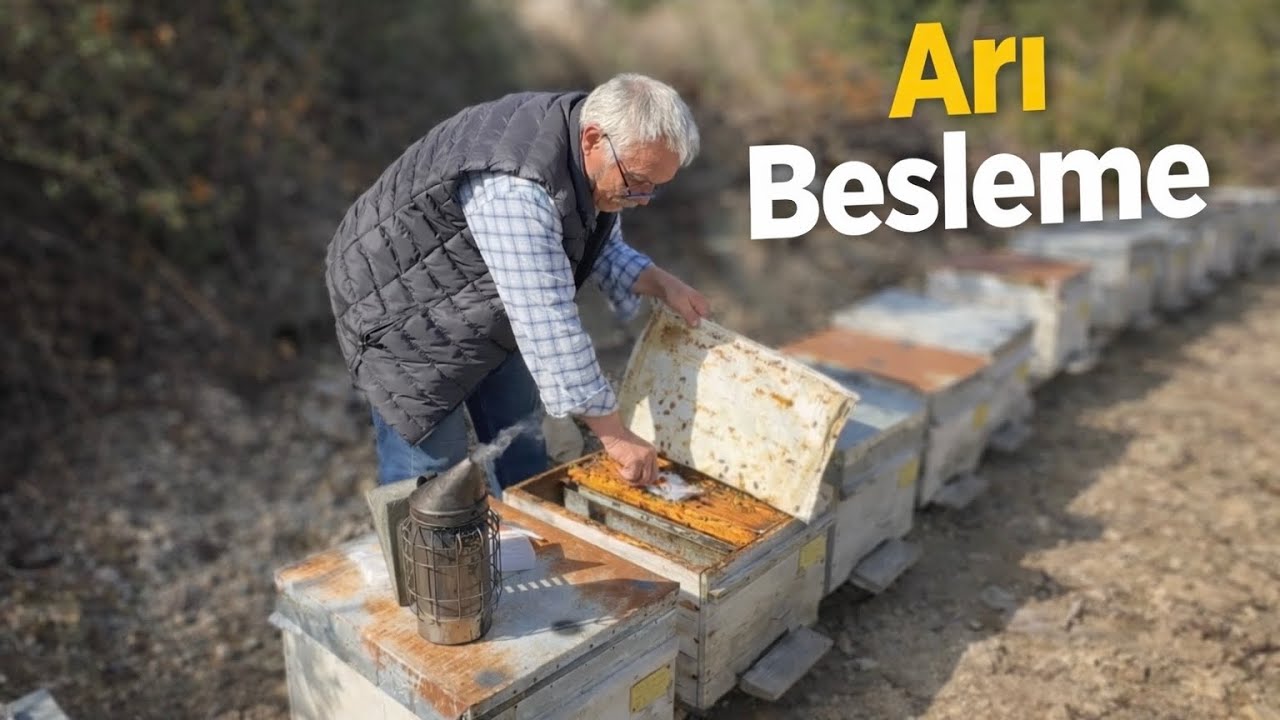 Arıcılık Sezonu Başladı 🐝 | Bahar Beslemesini Uygulamalı Geçtik 