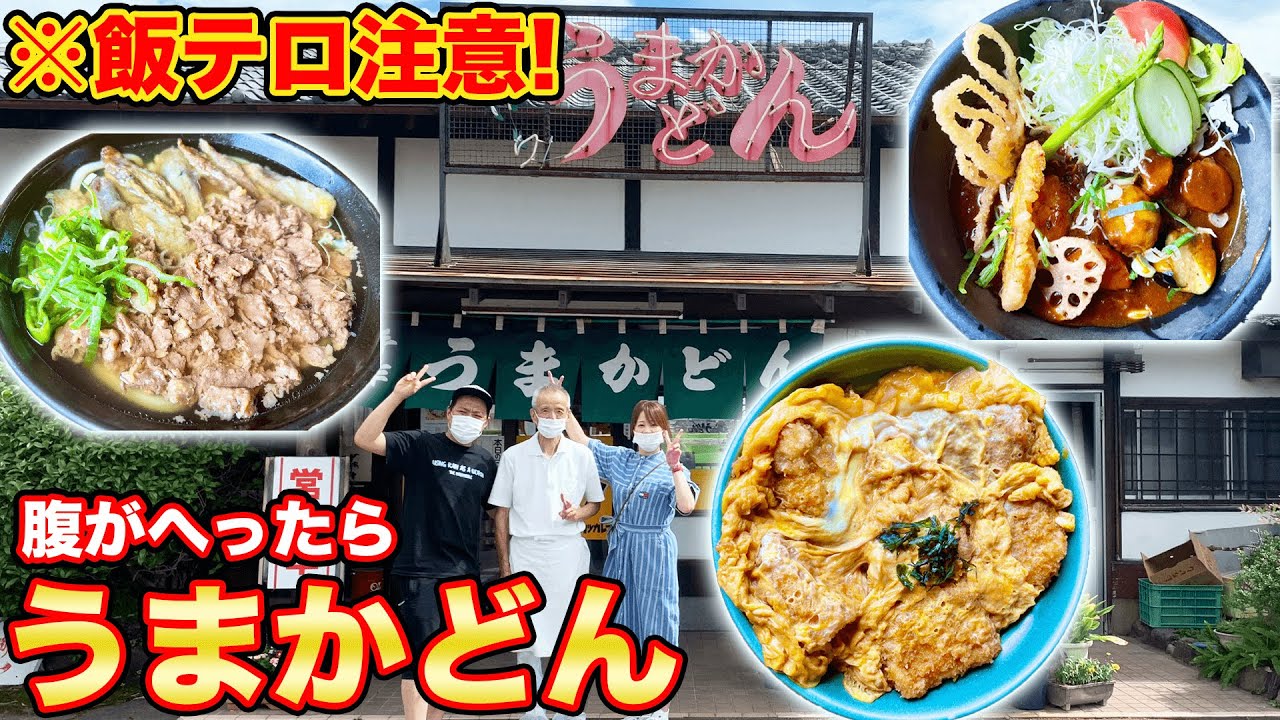 【飯テロ】佐賀うどんの老舗名店【うまかどん】の激ウマ【カレーうどん】【カツ丼】【肉うどん】もう箸が止まらない❗️【はなわ家】