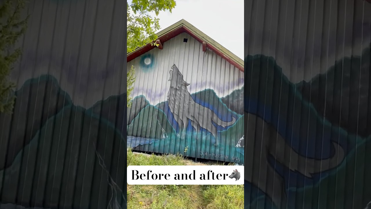 Wolf Mural Transformation: From Blank Wall to Spray Paint Masterpiece #wolf #graffiti #spraypaint