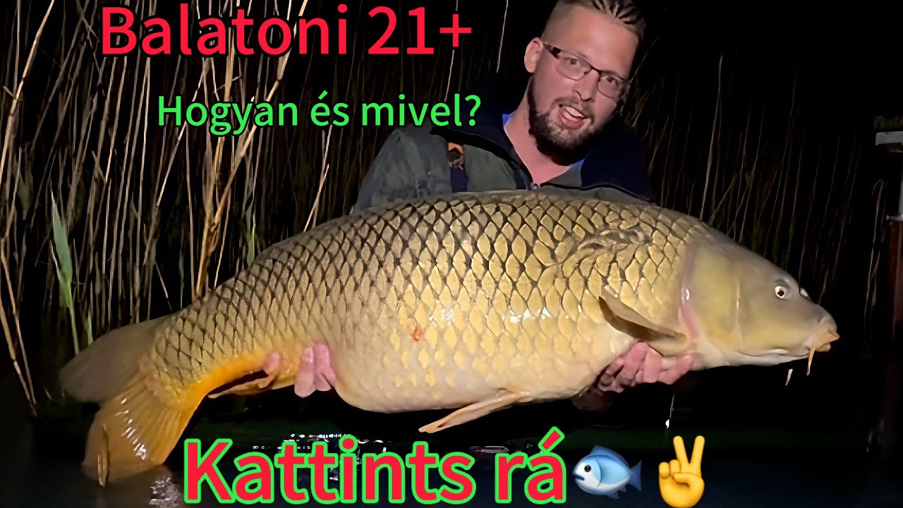 Balatonfűzfő 21+os ponty a dobós horgászatomon.