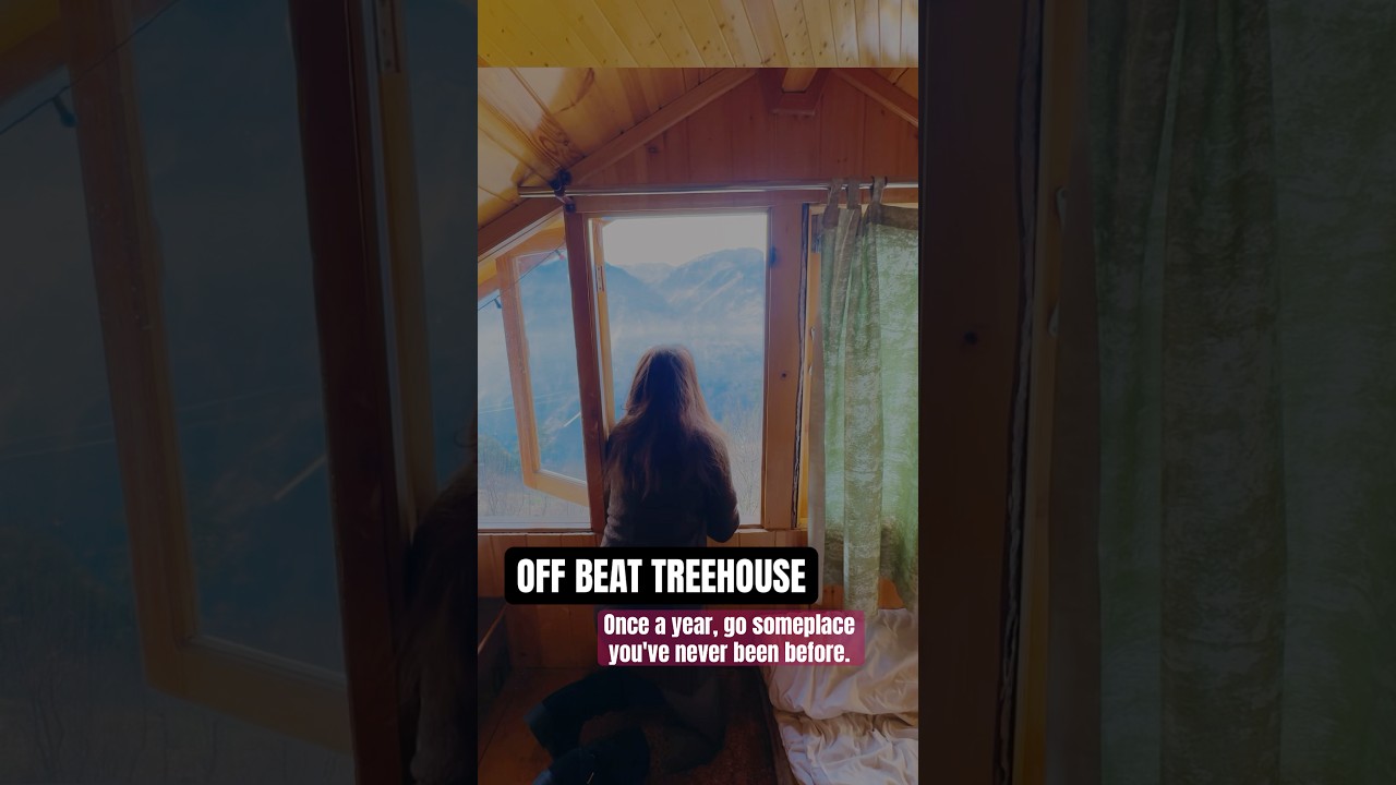 We staying in Tree house🍃 #treehouseadventure #treehouse #jibhivalley #tirthanvalley #himachaltour