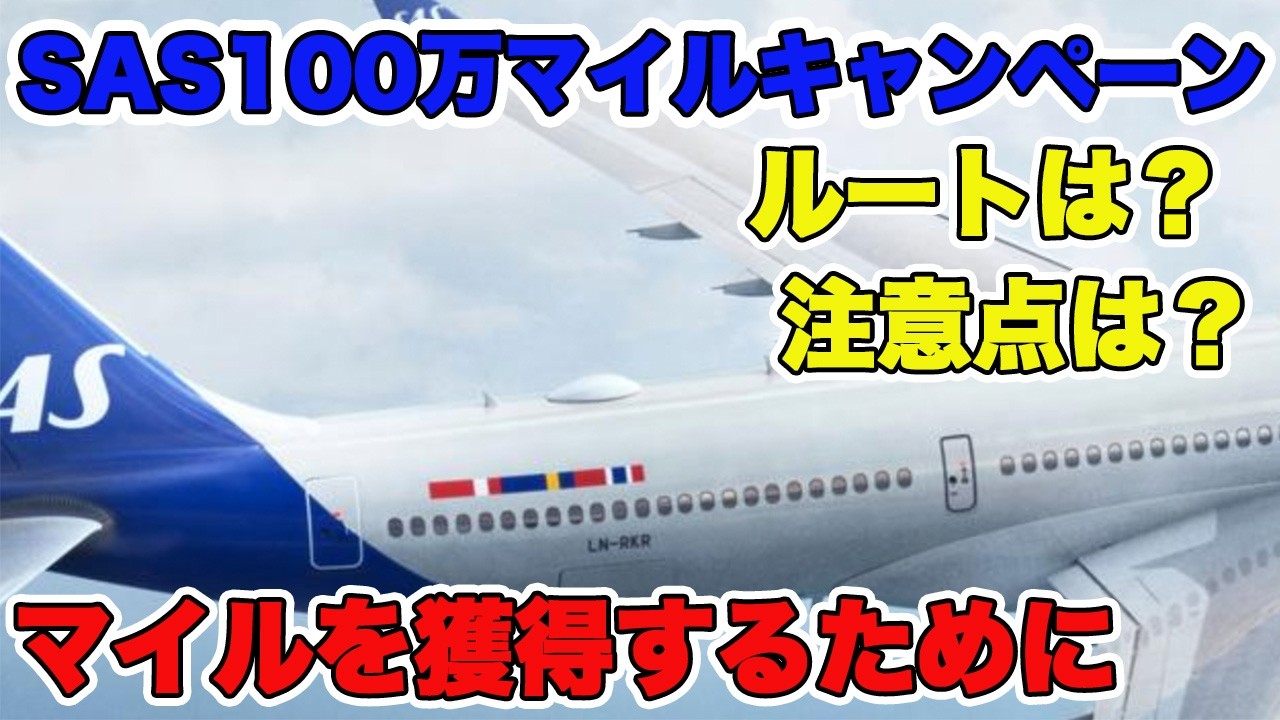 【とんでもない価値でした】SAS100万マイル完全攻略 100万マイル獲得までの道しるべ　スカイチーム　スカンジナビア航空