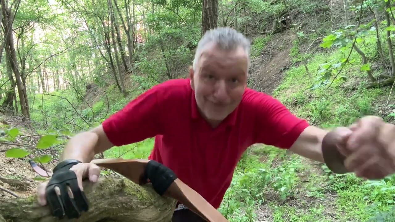 Eagle in the small Raven - 3 Arrows