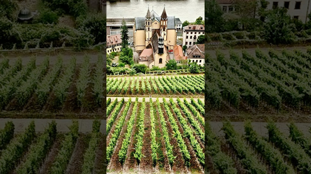 Is this the most Romantic area of Germany?🇩🇪 Lower Franconia (Unterfranken)🫶🍇