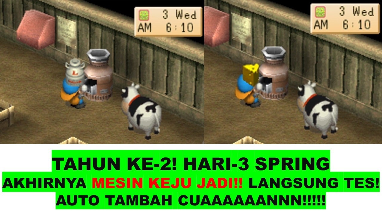 HARVEST MOON BACK TO NATURE TAHUN KE 2 3 SPRING